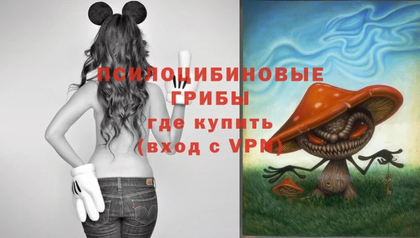 2c-b Балабаново