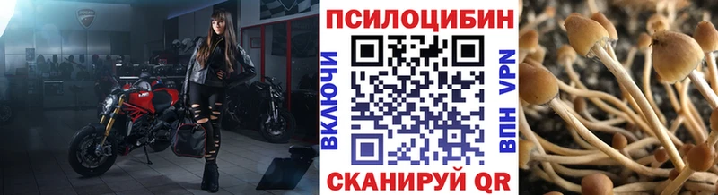 blacksprut ссылки  Верхнеуральск  Псилоцибиновые грибы GOLDEN TEACHER 